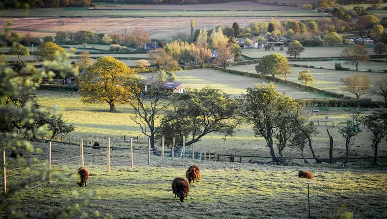 Farm Tax Rules Hit, Energy Bills Soar, Parking Fine Chaos